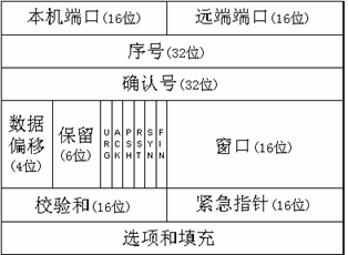 TCP协议头