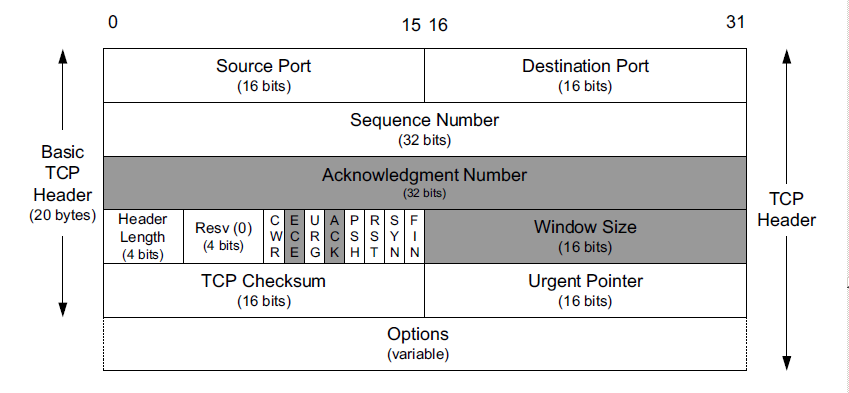 tcp协议头
